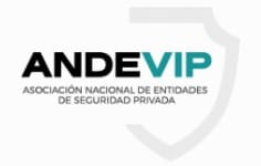 image (2)